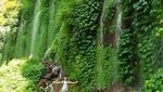 Tersembunyi, Ini Air Terjun Coban Sumber Pitu Malang