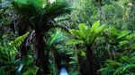 Tersihir Pesona Danau Matheson, New Zealand