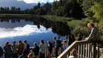 Tersihir Pesona Danau Matheson, New Zealand