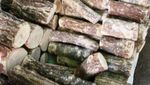 Thanaka, Bedak Tradisional Anti Panas dari Myanmar