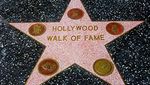 The Hollywood Walk of Fame, Bukan Sekadar Boulevard Biasa