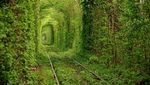 The Tunnel of Love, Terowongan Paling Romantis di Dunia