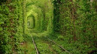 (sumber: infodirectory.blogspot.com)