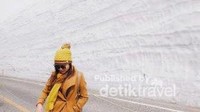 Dinding es tinggi besar bukan cuma The Wall dari film Game of Thrones. Di Tateyama Jepang juga ada, tapi cuma setinggi 20 meter.
