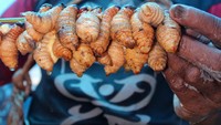 Ulat sagu bakar yang menyerupai sate