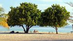 Tiada Kata Selain Sempurna di Pulau Kanawa, Flores