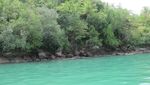 Tidak Hanya Bukit, Sumatera Barat juga Punya Pulau Cantik