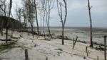 Tidak Kalah Dengan di Tempat Lain, Ini Pantai Janggawari di Asahan