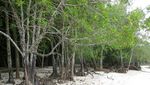 Tidak Kalah Dengan di Tempat Lain, Ini Pantai Janggawari di Asahan