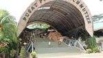 Tidak Mudik Cuma di Jakarta, Yuk Lihat Gorila