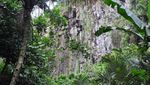 Tiga Air Terjun Menawan di Banyuwangi