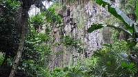 Panorama tebing di jalan setapak menuju air terjun