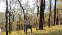 Pemandangan Hutan Ampupu ini seakan berada di luar negeri.