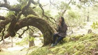 Hutan bonsai Fatumnasi adalah satu-satunnya hutan bonsai di Indonesia yang memiliki umur ratusan tahun.