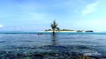 Tinalapu, Pulau dengan Perairan Sebening Kaca