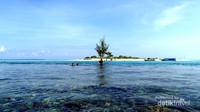 Pulau Kecil Nan Cantik
