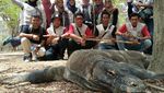 Tinggal 45 Hari Bersama Komodo, Seperti Ini Rasanya
