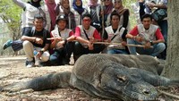 TIM KKN Berfoto dengan Komodo