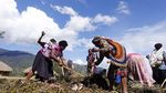 Tiom, Si Cantik di Pedalaman Papua