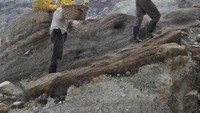 Selalu diingat untuk memberikan jalan terlebih dahulu bagi para Penambang yang memikul belerang seberat 70-90 kg