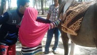 Kuda butuh sentuhan
