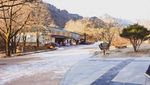 Tips Traveling Saat Musim Dingin di Korea Selatan
