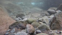 Bebatuan di bawah air terjun