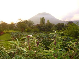 Tomohon, Kota Kembang yang Sesungguhnya