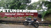 Di Petungkriyono kami menikmati indahnya pemandangan hutan hujan tropis.