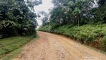 Tradisi Budaya Yang Masih Terjaga di Ulu Kasok