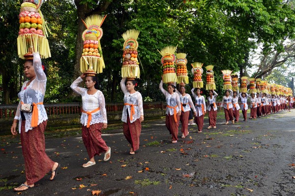 Ibu-ibu peserta Mapeed yang berbaris panjang membawa Gebongan, sesajen khas Bali yang terdiri atas rangkaian buah dan sesajen.