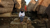 Pohon yang mempunyai sejarah tersendiri di desa Sade.
