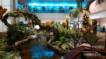 Transit di Bandara Changi, Bisa Lihat Taman Anggrek Cantik