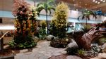 Transit di Bandara Changi, Bisa Lihat Taman Anggrek Cantik