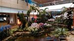 Transit di Bandara Changi, Bisa Lihat Taman Anggrek Cantik