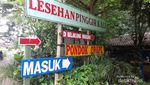 Traveling Bareng Keluarga ke Maduin, Datangi Wana Wisata Grape