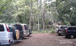 Traveling Bareng Keluarga ke Maduin, Datangi Wana Wisata Grape