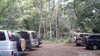 Lokasi parkir yang luas dan juga asri