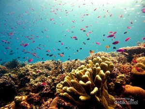 Traveling Sambil Beramal di Kepulauan Togean
