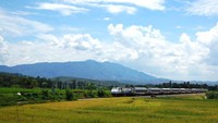 KA Argo Dwipangga melintasi persawahan di Prupuk, Kabupaten Tegal