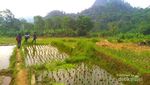Treking Ceria ke Curug Cilalay di Perbatasan Bogor
