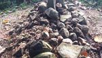 Trekking Asyik ke Gunung Parang di Purwakarta