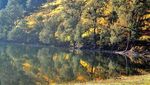 Trekking Bareng Keluarga ke Ranu Kumbolo, Kenapa Tidak?