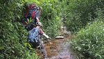 Trekking Bersama Keluarga di Kawah Ratu, Seru!