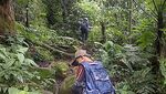 Trekking Bersama Keluarga di Kawah Ratu, Seru!
