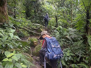Trekking Bersama Keluarga di Kawah Ratu, Seru!