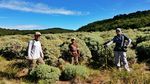 Trekking Seru Bersama Keluarga ke Gunung Papandayan