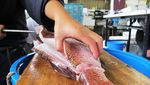 Tsukiji Market, Muara Angke Tanpa Bau Amis