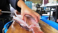 Ikan segar yang sedang dipotong