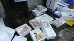 Tsukiji, Pasar Ikan Terbesar & Terbersih di Dunia